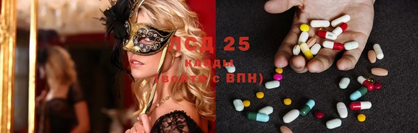 сатива Нея
