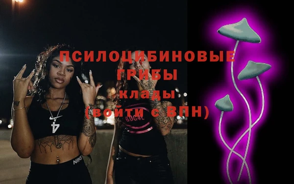 сатива Нея