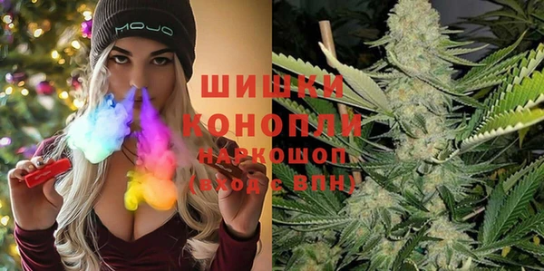 первитин Новозыбков