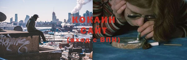 сатива Нея