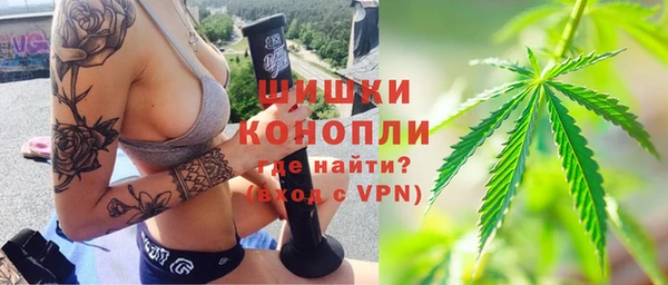 первитин Новозыбков