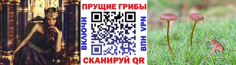 Галлюциногенные грибы прущие грибы  что такое   Северодвинск 