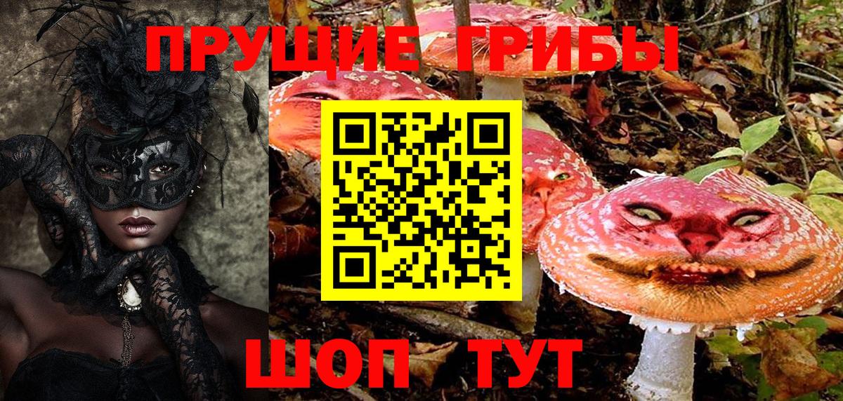 Галлюциногенные грибы GOLDEN TEACHER  Вход с VPN  купить наркотики цена  Северодвинск 