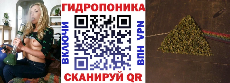Каннабис Ganja закладки Северодвинск